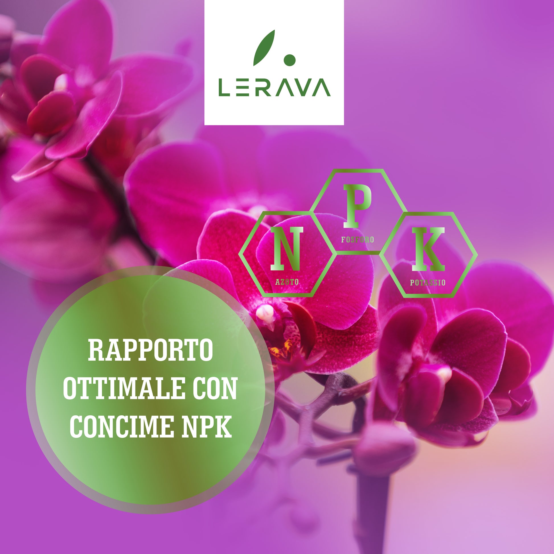 Orchidee - concime per orchidee –