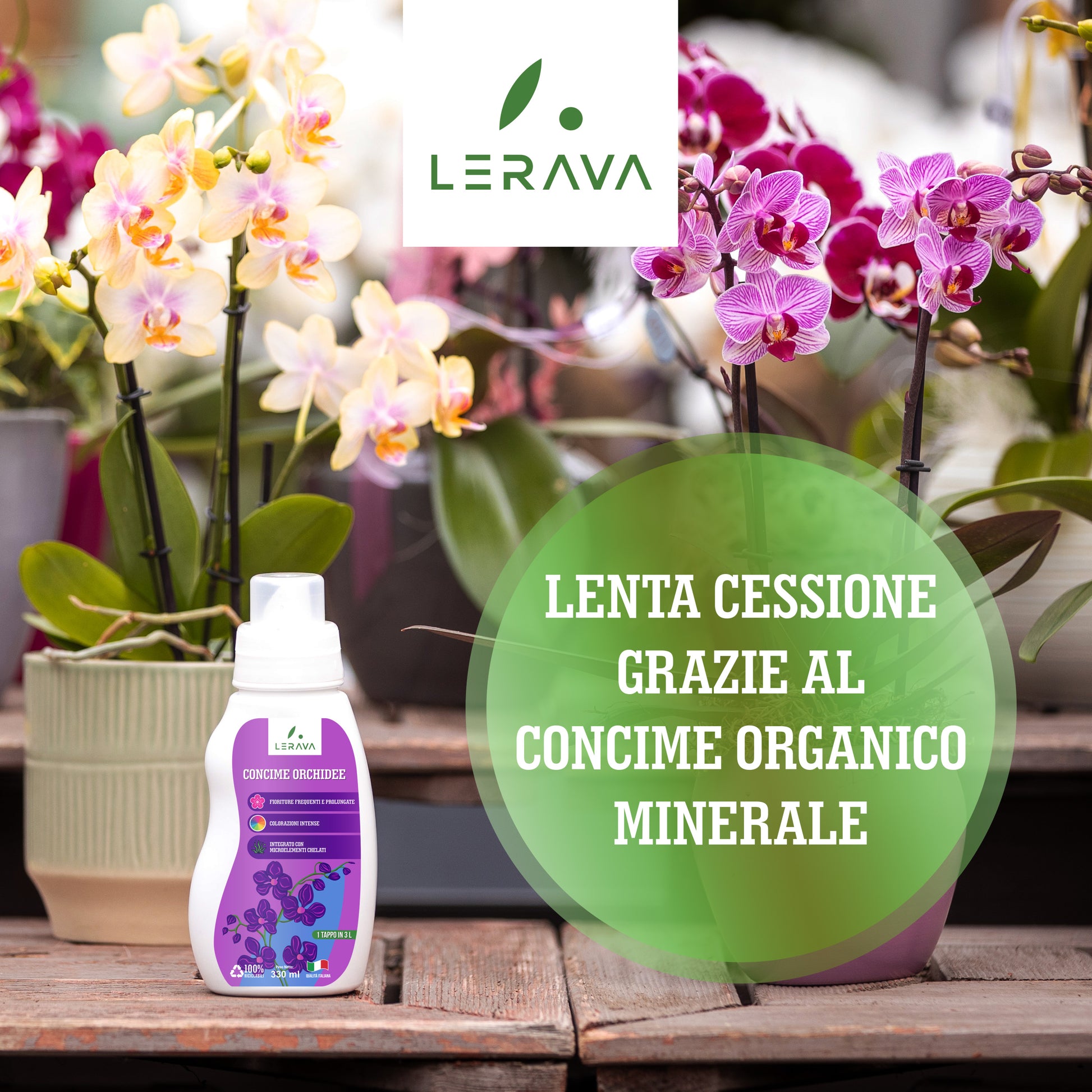 Orchidee - concime per orchidee –