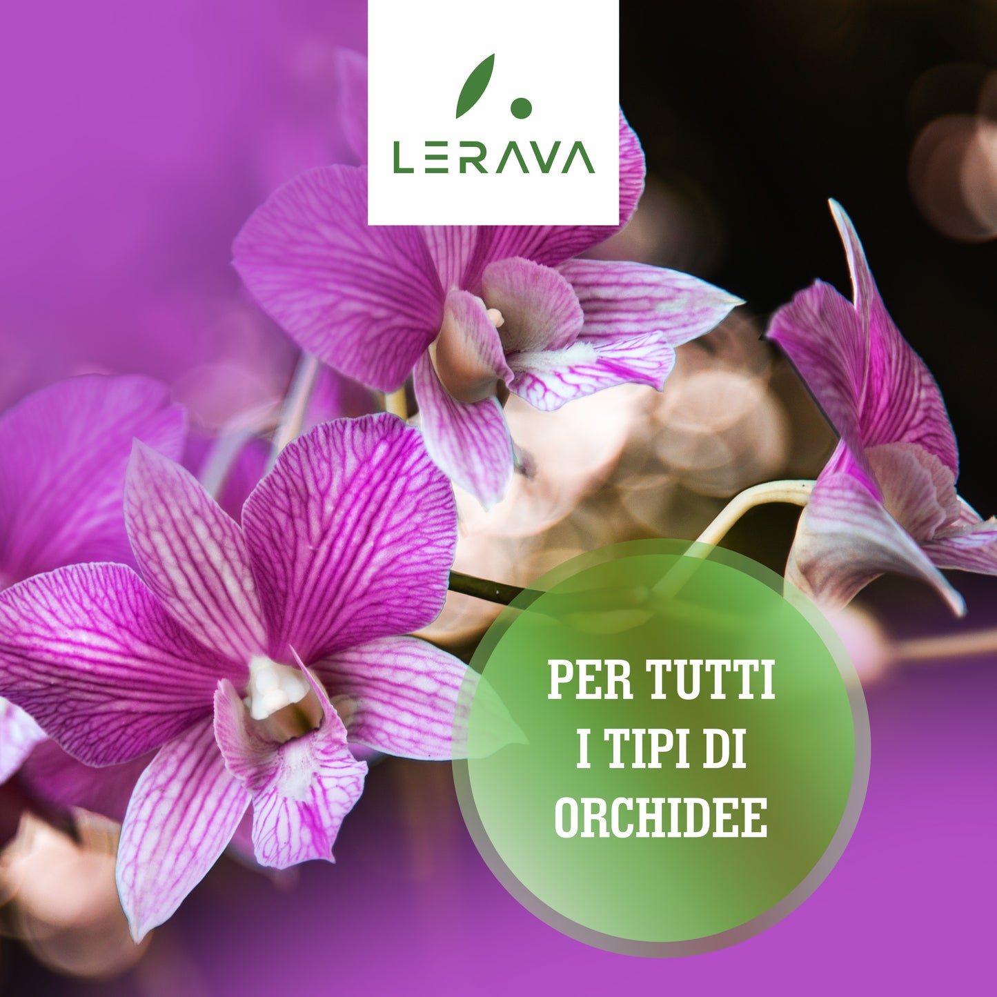 Orchidee - concime per orchidee