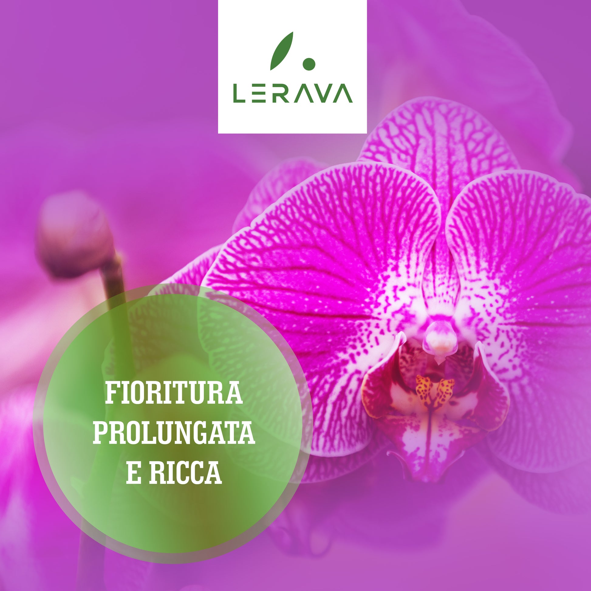 Concime orchidee liquido  AgriService, amore per la terra e cura  dell'ambiente