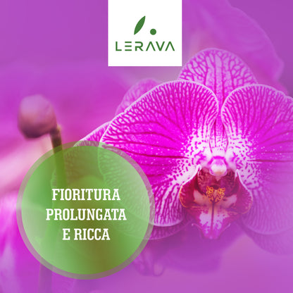 Orchidées - engrais pour orchidées