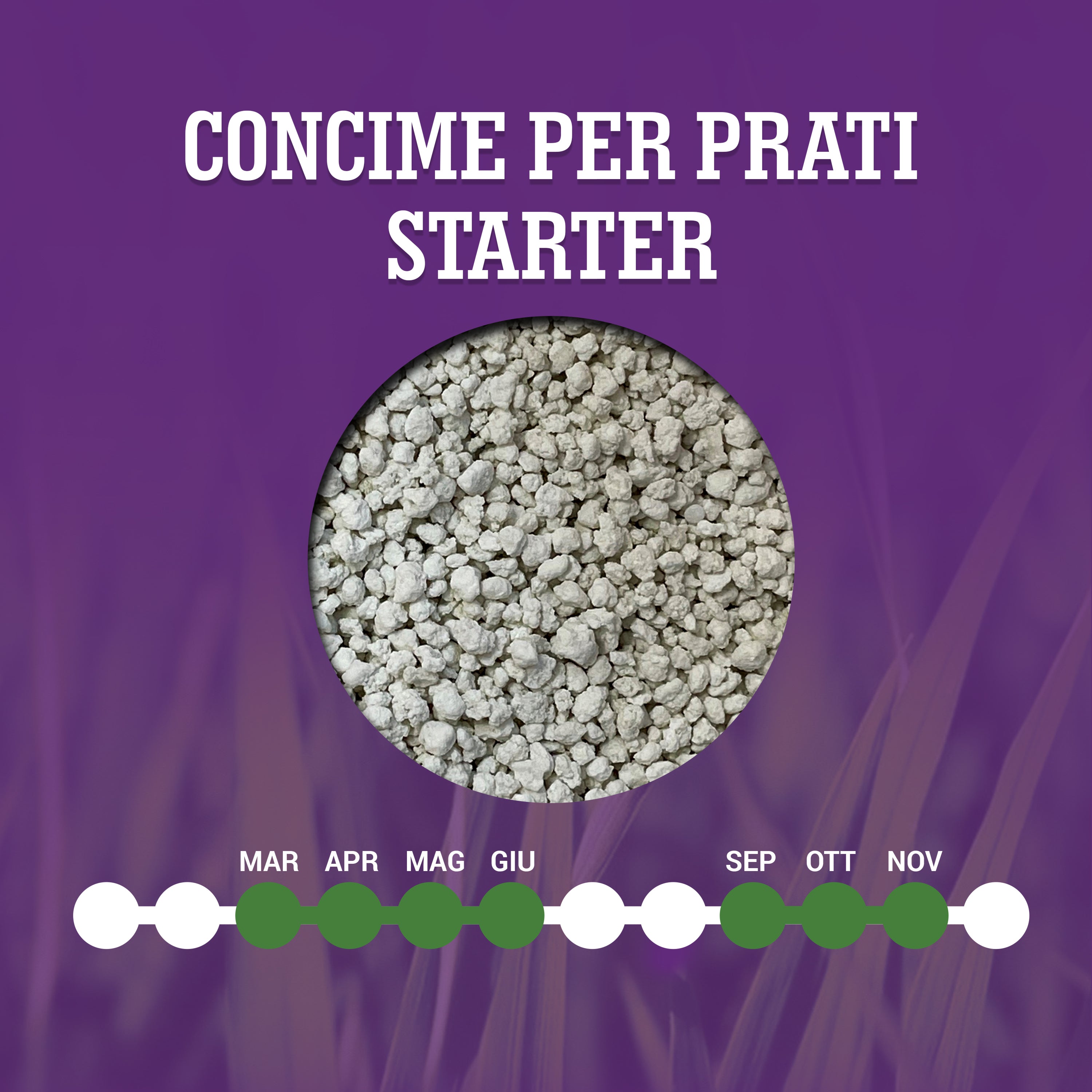 LERAVA Concime Starter Per Prato - Per Semina Autunnale E Rigenerazione, 35m² | Fertilizzante Ricco Di Fosforo - Foto 10