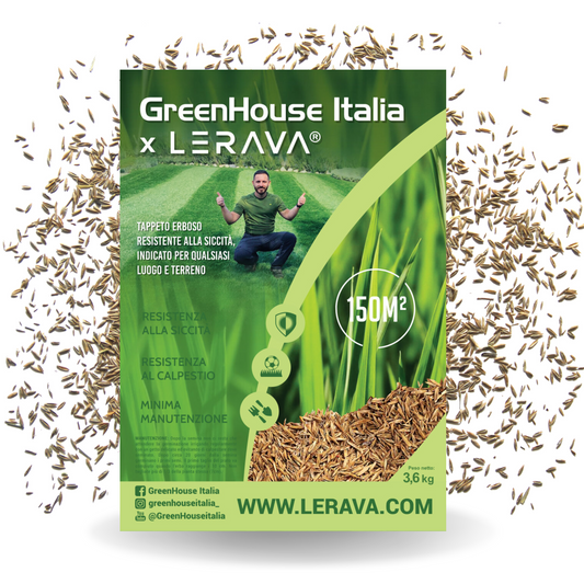 Graines pour gazon Lerava x GreenHouse Italia
